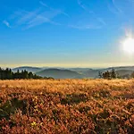 Apartment Willingenliebe Meinecardplus Willingen (Upland)