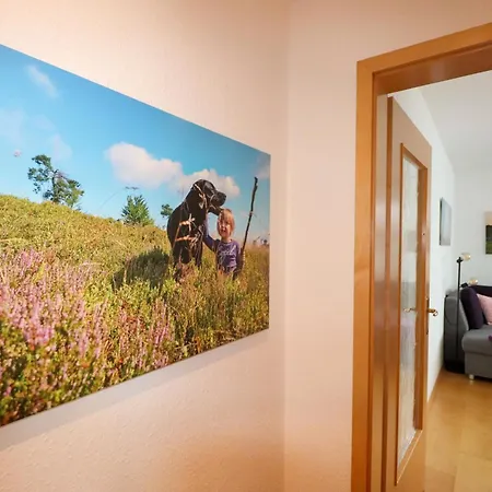 Willingenliebe Meinecardplus Apartment Willingen (Upland)