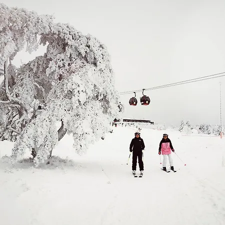 Willingenliebe Meinecardplus Willingen (Upland)