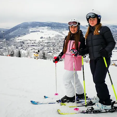 Willingenliebe Meinecardplus Apartment Willingen (Upland)