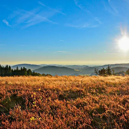 Apartment Willingenliebe Meinecardplus Willingen (Upland)