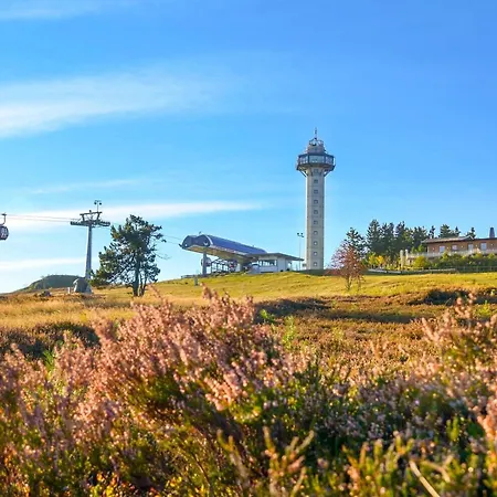 Willingenliebe Meinecardplus * Willingen (Upland)