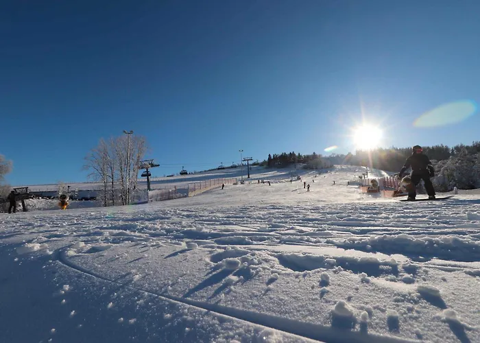 Willingenliebe Meinecardplus וילינגן