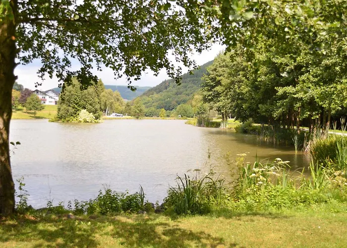 Willingenliebe Meinecardplus *