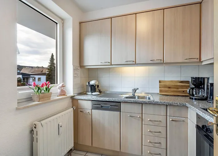 Willingenliebe Meinecardplus וילינגן